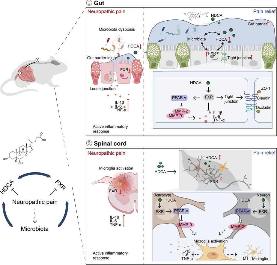 17543561106264.png 图片3.png